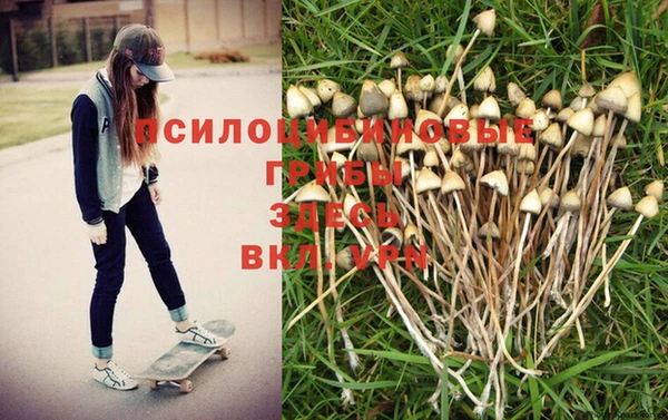 таблы Абинск