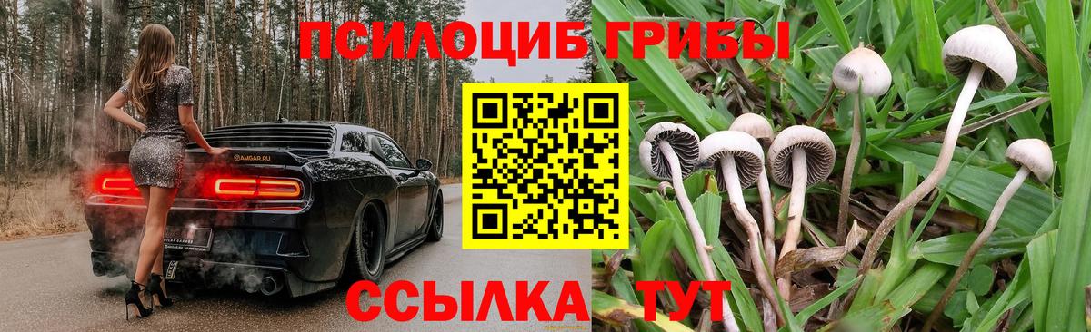 Чита  Галлюциногенные грибы мицелий  Псилоцибиновые грибы мухоморы  Вход с VPN 