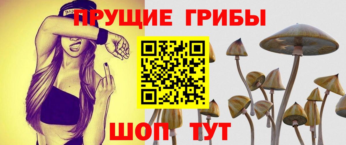 Галлюциногенные грибы MAGIC MUSHROOMS Чита